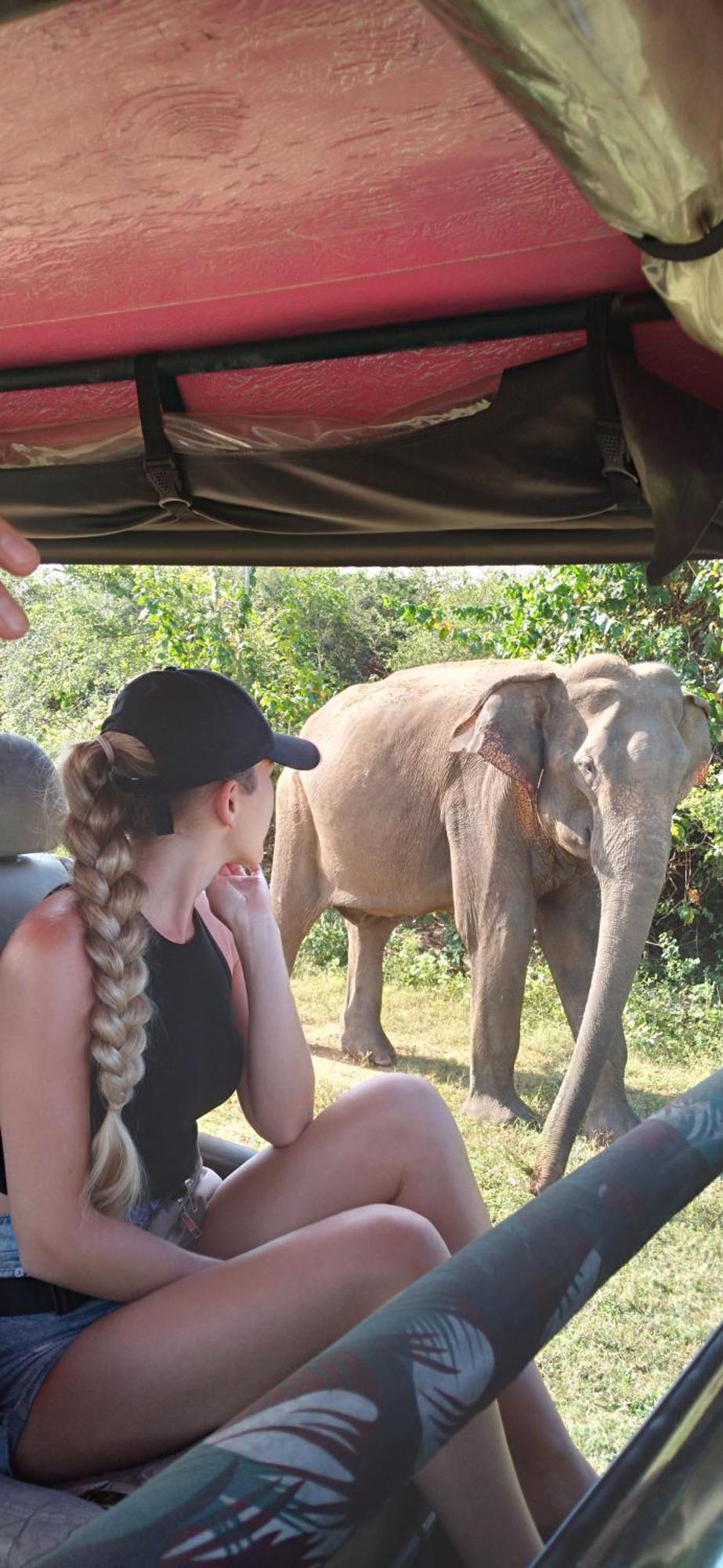 Share Safari House Udawalawe Bed & Breakfast エクステリア 写真