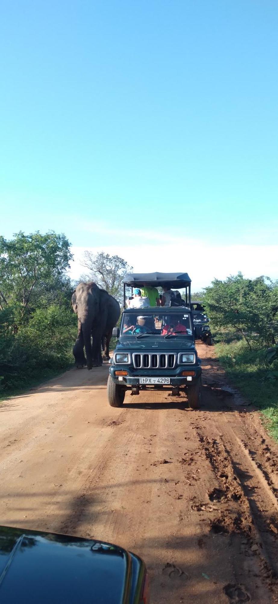Share Safari House Udawalawe Bed & Breakfast エクステリア 写真