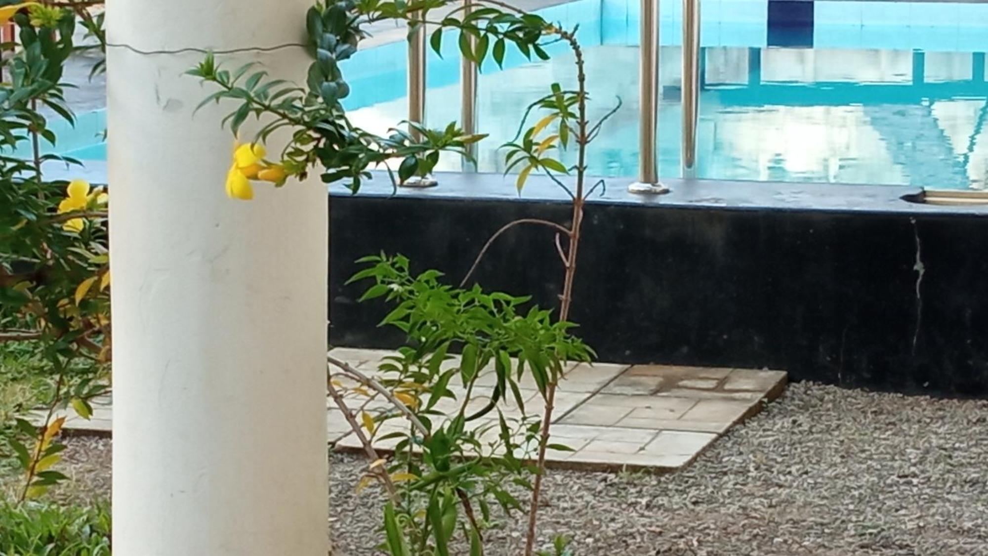Share Safari House Udawalawe Bed & Breakfast エクステリア 写真