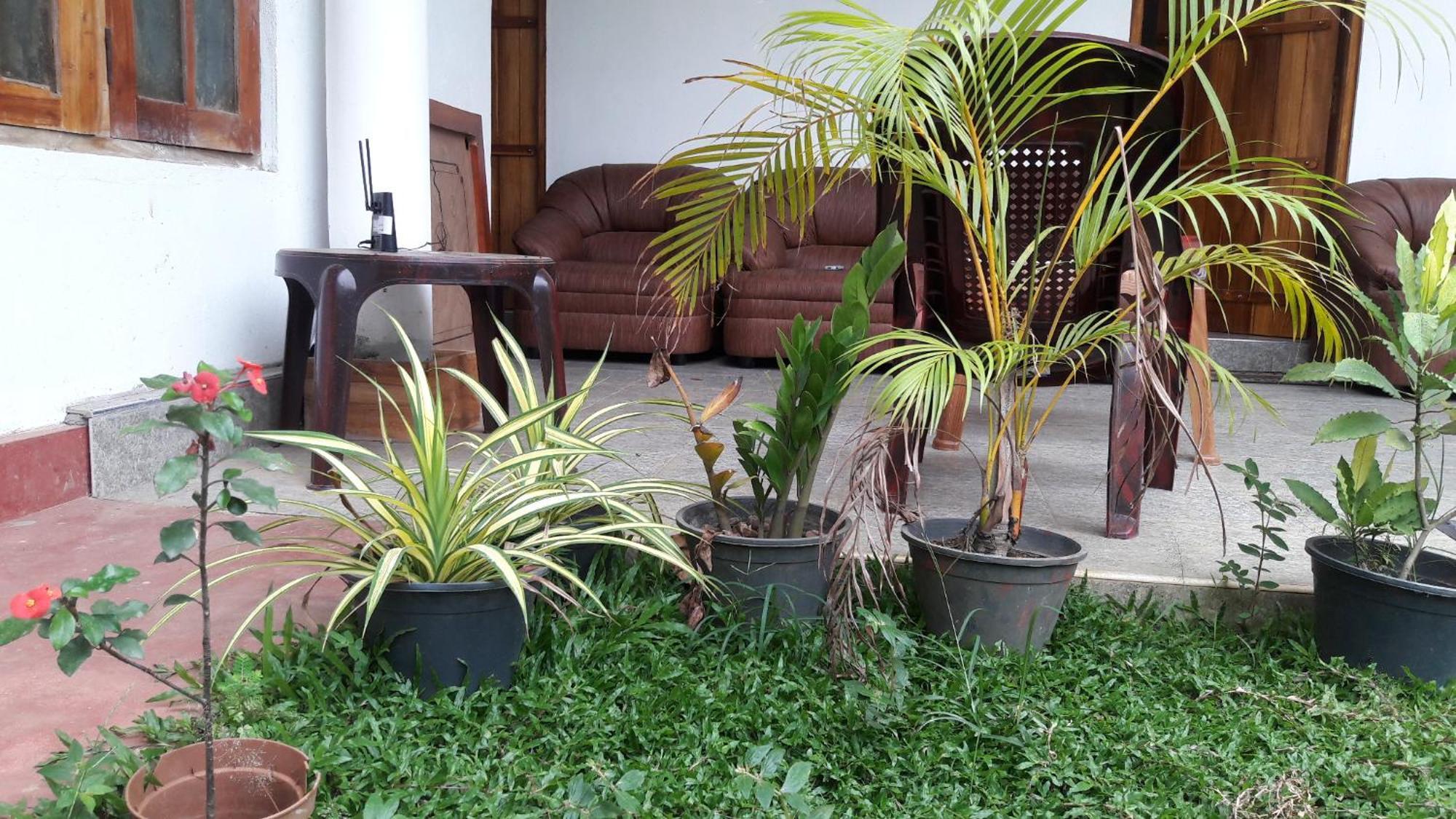 Share Safari House Udawalawe Bed & Breakfast エクステリア 写真