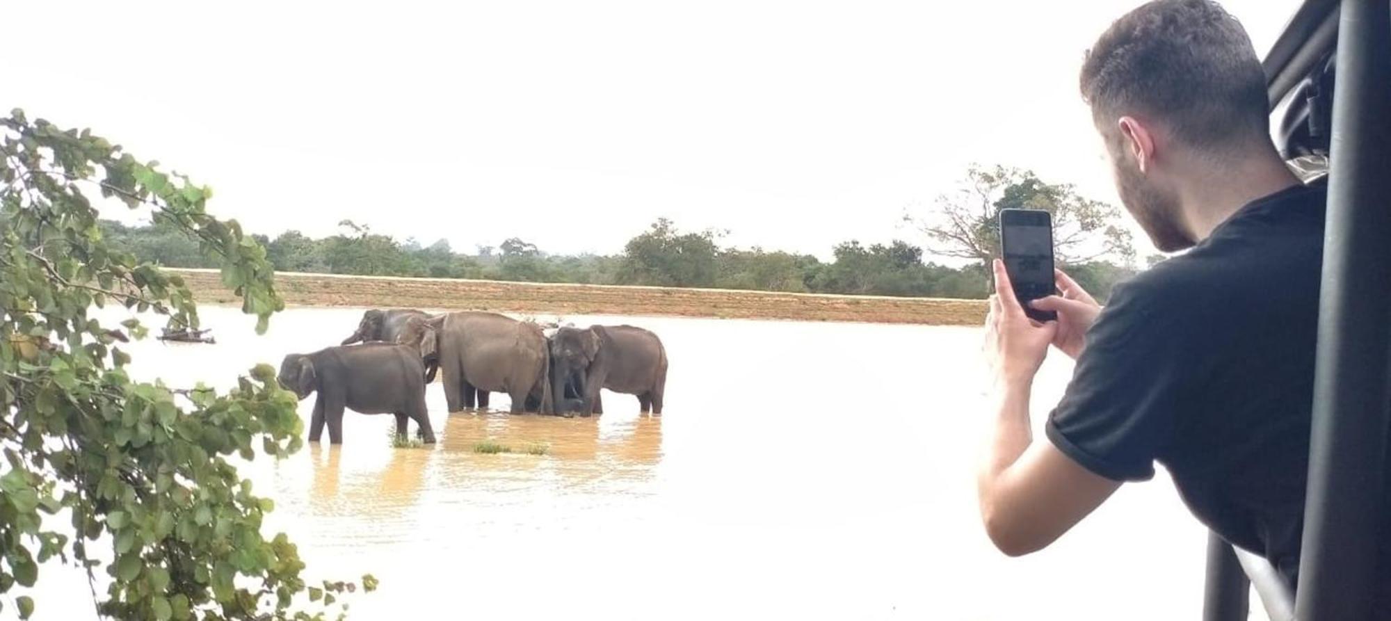 Share Safari House Udawalawe Bed & Breakfast エクステリア 写真